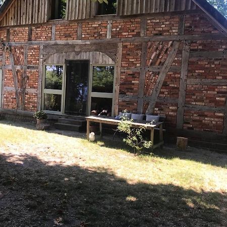 Gemuetliche Ferienwohnung An Der Elbe เบลคเคอเดอ ภายนอก รูปภาพ