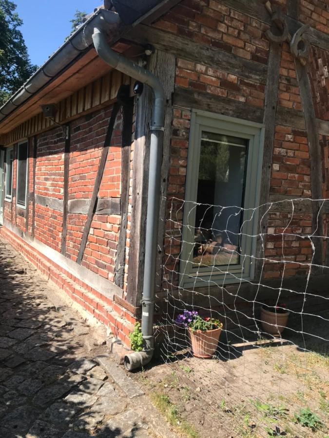 Gemuetliche Ferienwohnung An Der Elbe เบลคเคอเดอ ภายนอก รูปภาพ